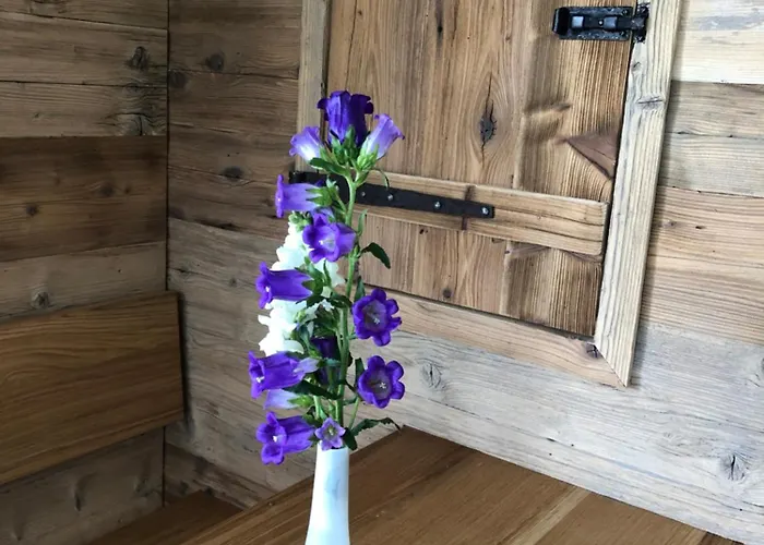 Pusteblume Oberreute