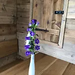 Pusteblume Oberreute