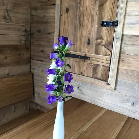 Pusteblume Oberreute